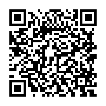 QR code for G498873