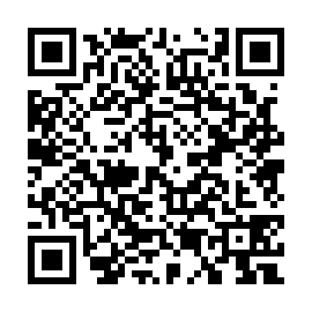 QR code for G501383