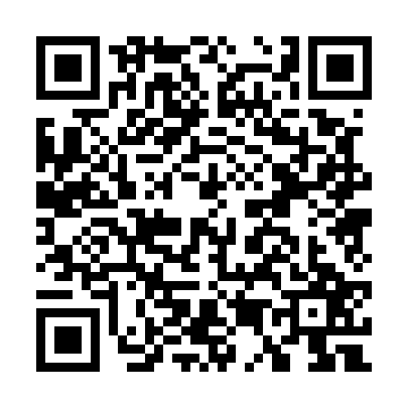 QR code for G505273