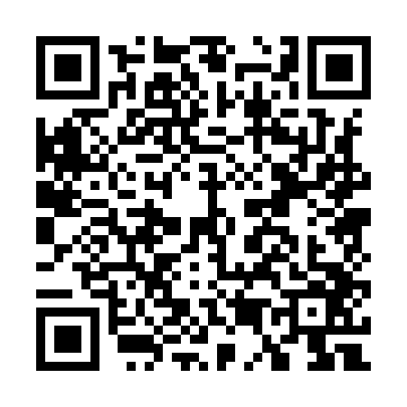 QR code for G509465