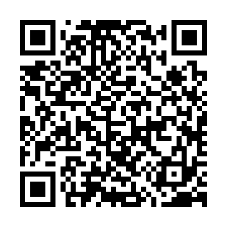 QR code for G52333