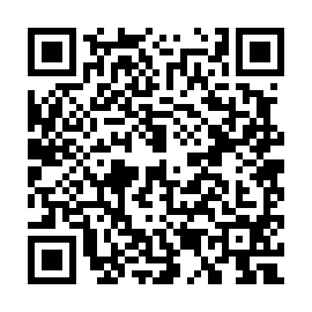 QR code for G524941