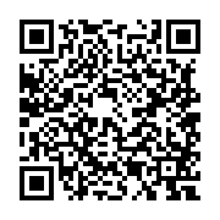 QR code for G528831