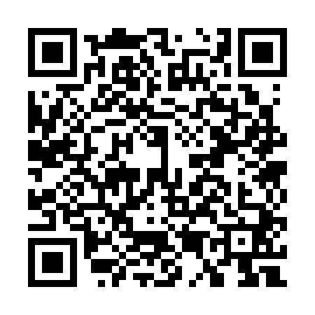 QR code for G533403
