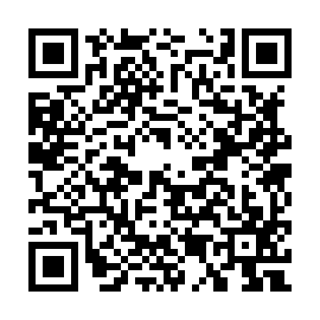 QR code for G538979