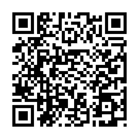 QR code for G540041