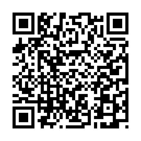 QR code for G541898