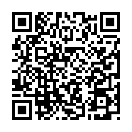 QR code for G542441