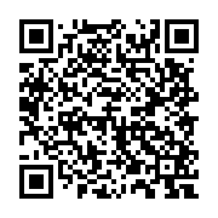QR code for G58541