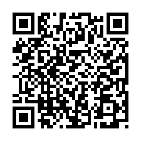 QR code for G595829