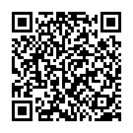 QR code for G63379