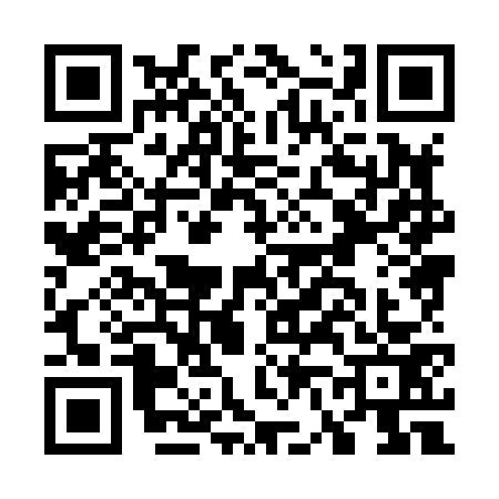 QR code for G688737