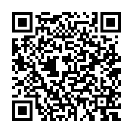 QR code for G737411