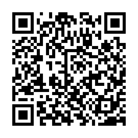 QR code for G76311