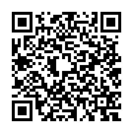 QR code for G775379