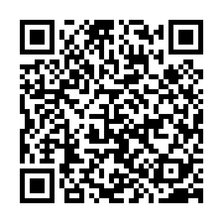 QR code for G85029