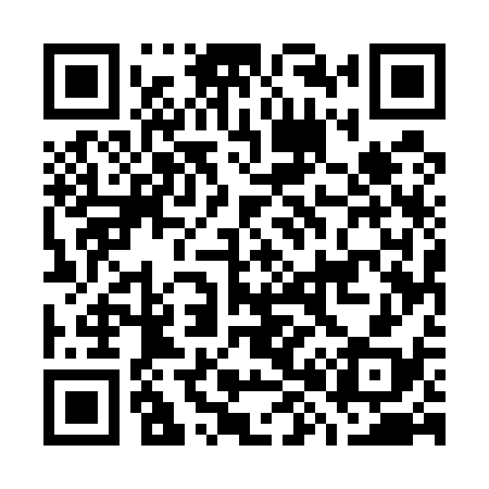 QR code for G85538