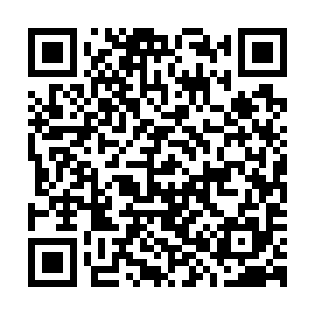 QR code for G85795