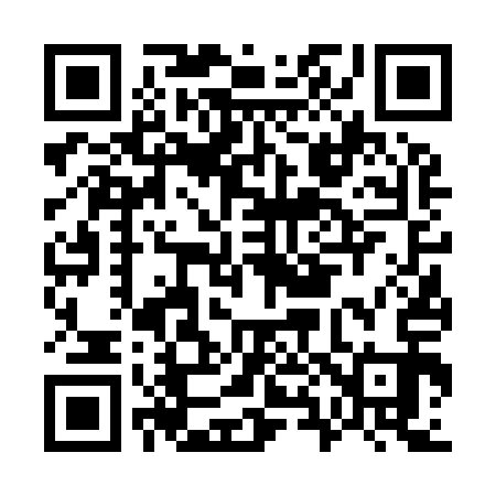 QR code for G86913