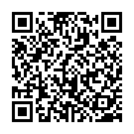 QR code for G87509