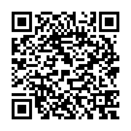 QR code for G896386