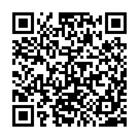 QR code for G91294