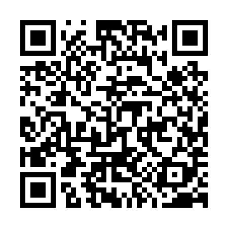 QR code for G95289