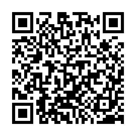 QR code for G96953