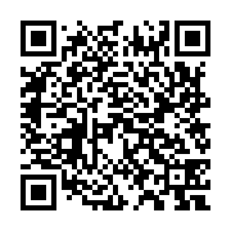 QR code for G97938