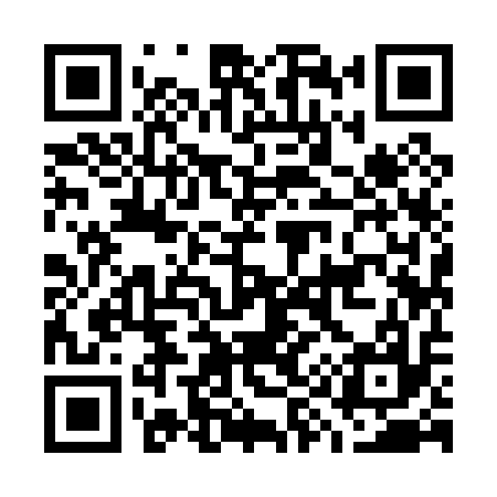 QR code for G99017