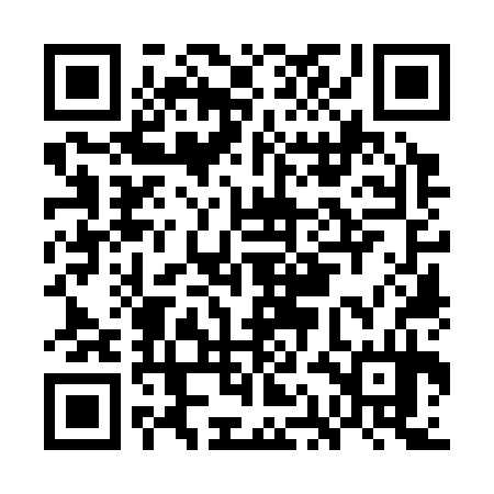 QR code for GAO334