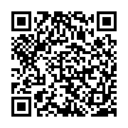 QR code for GAS313
