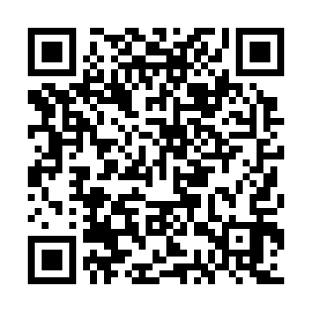 QR code for GCP313