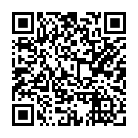 QR code for GE0994