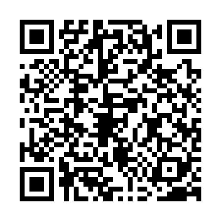 QR code for GG13293