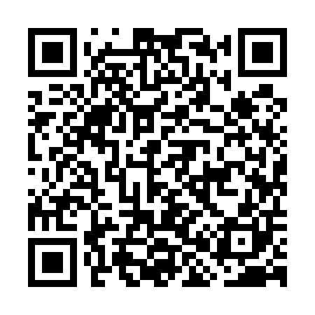 QR code for GH9500
