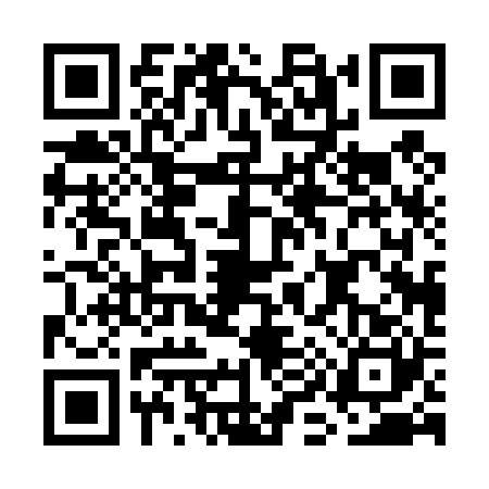 QR code for GI04207