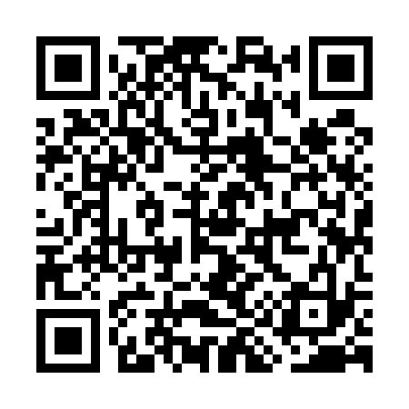 QR code for GI9533
