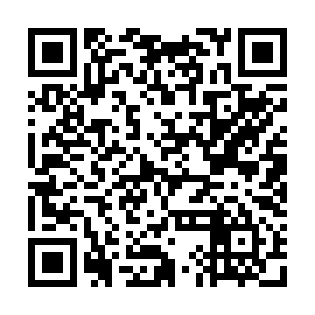 QR code for GIA295