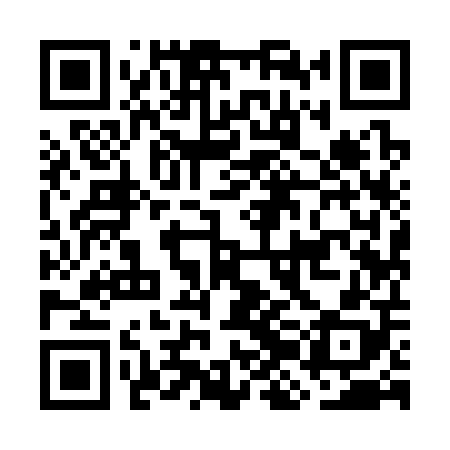 QR code for GJI308