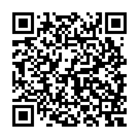 QR code for GMN383