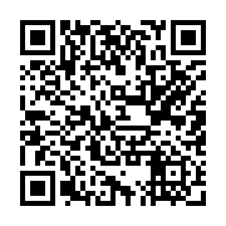 QR code for GMU919