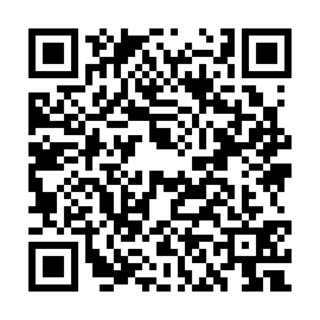 QR code for GN93313