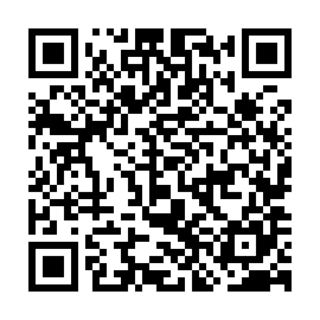 QR code for GNN985