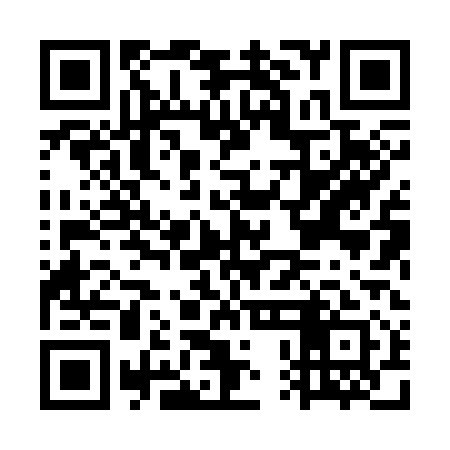 QR code for GPH311