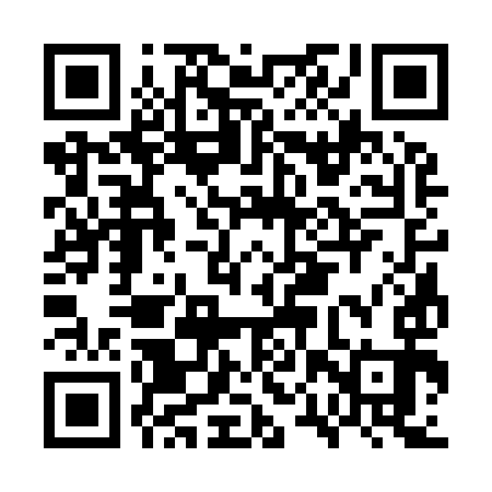 QR code for GPS993