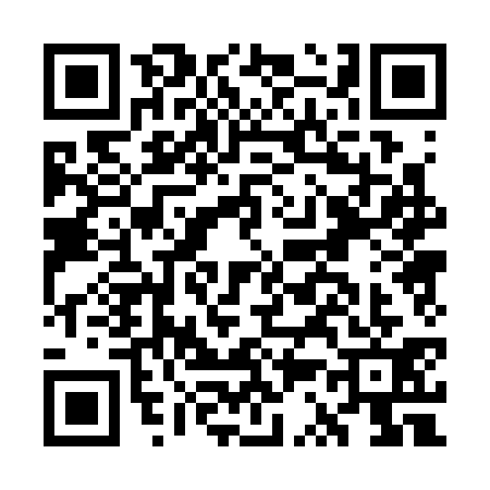 QR code for GS03311
