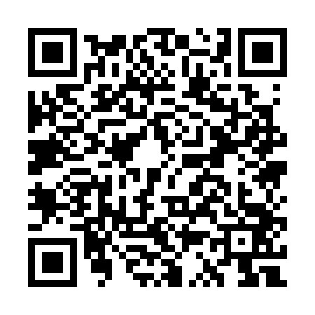 QR code for GS13439