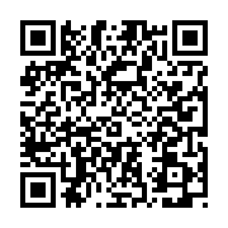 QR code for GS86411