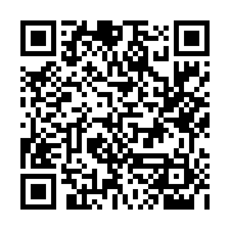 QR code for GSN653